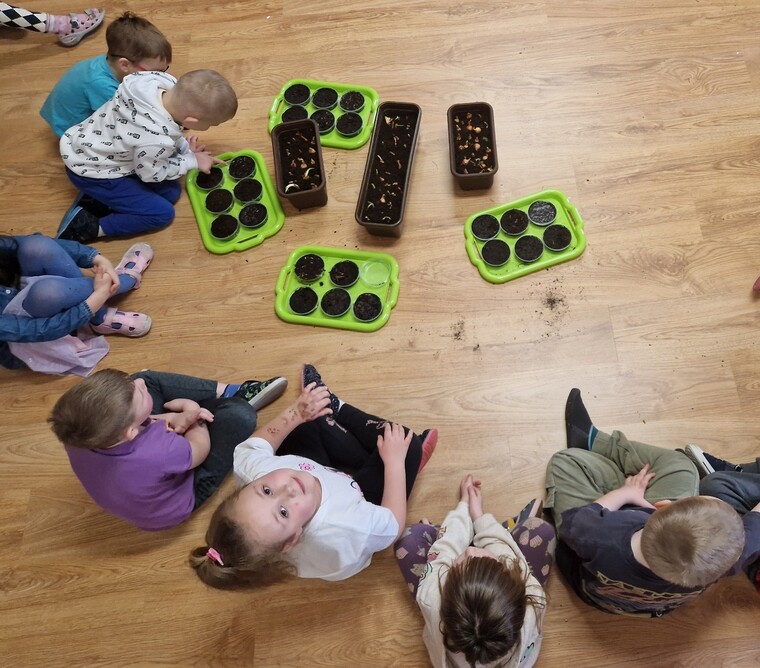 Jak rosną rośliny?